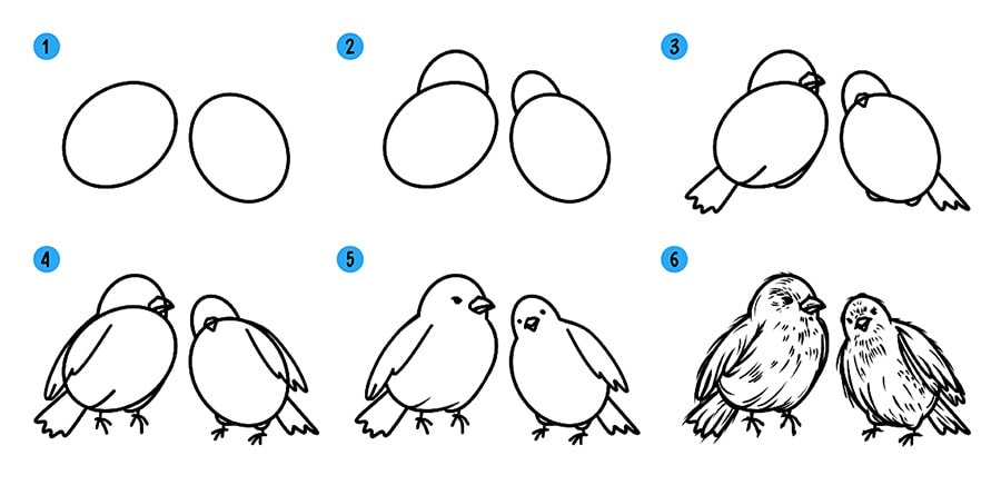 Как нарисовать птицу (птичку) поэтапно - видео уроки рисования для детей и  начинающих » Рисуем птиц карандашом и красками