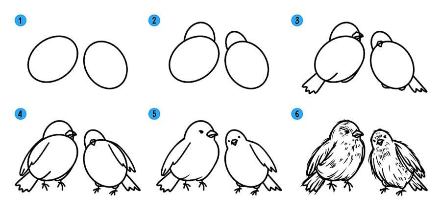 Реалистичные птицы поэтапный рисунок