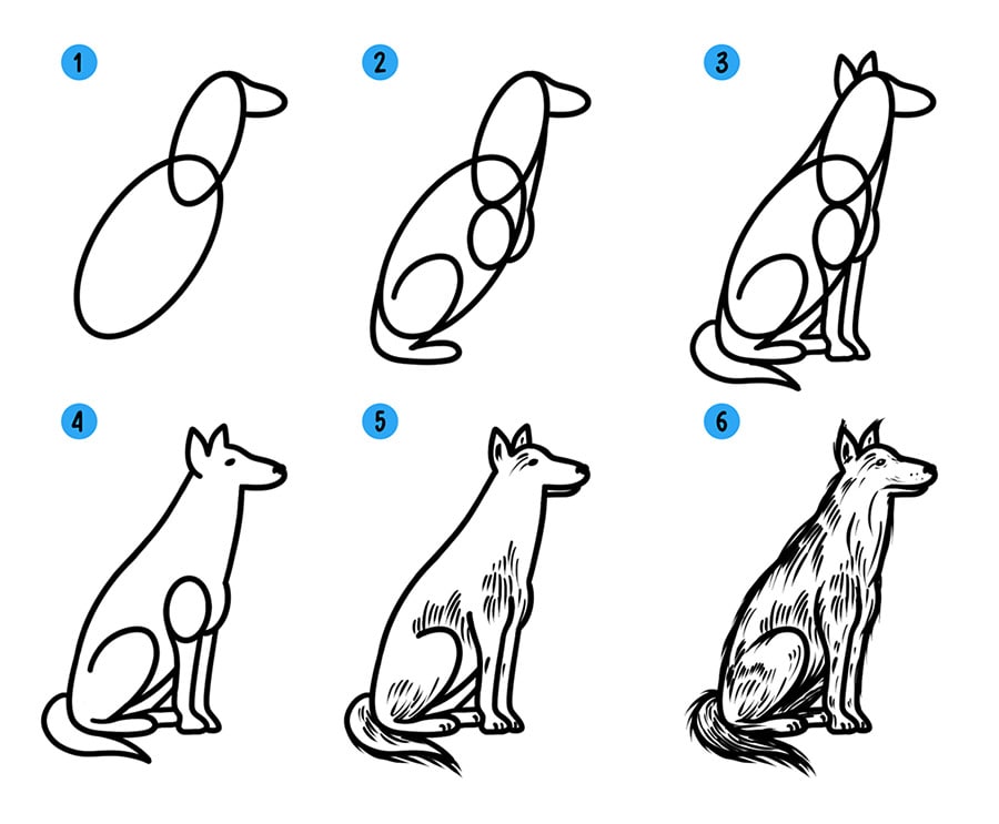 Как нарисовать собаку поэтапно