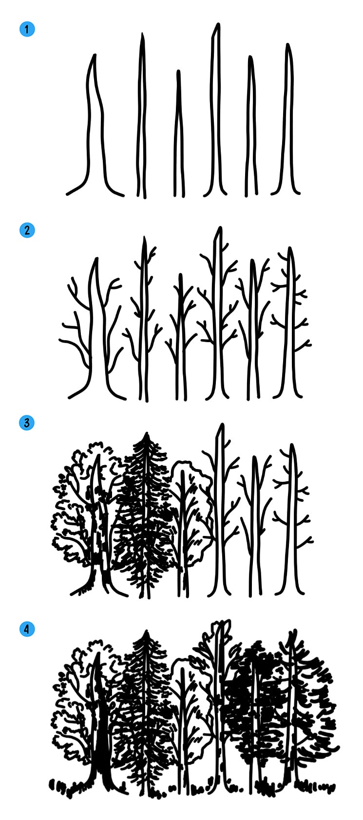 Как нарисовать (рисовать) лес с деревьями » Рисуем легко и поэтапно -  мастер-классы по рисованию леса и рисунки для срисовки для детей и начинающих  карандашом и красками