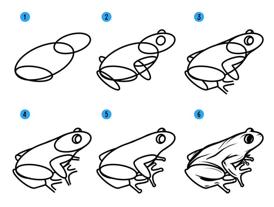 Как нарисовать лягушку поэтапно карандашом (53 фото) - легкие мастер-классы по рисованию лягушки