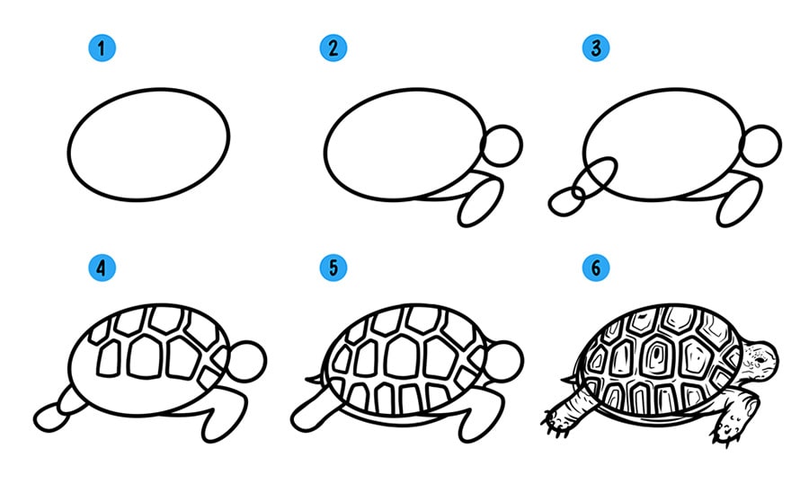 Как нарисовать черепаху видео уроки для детей » Рисуем черепашку поэтапно  при помощи видеоуроков