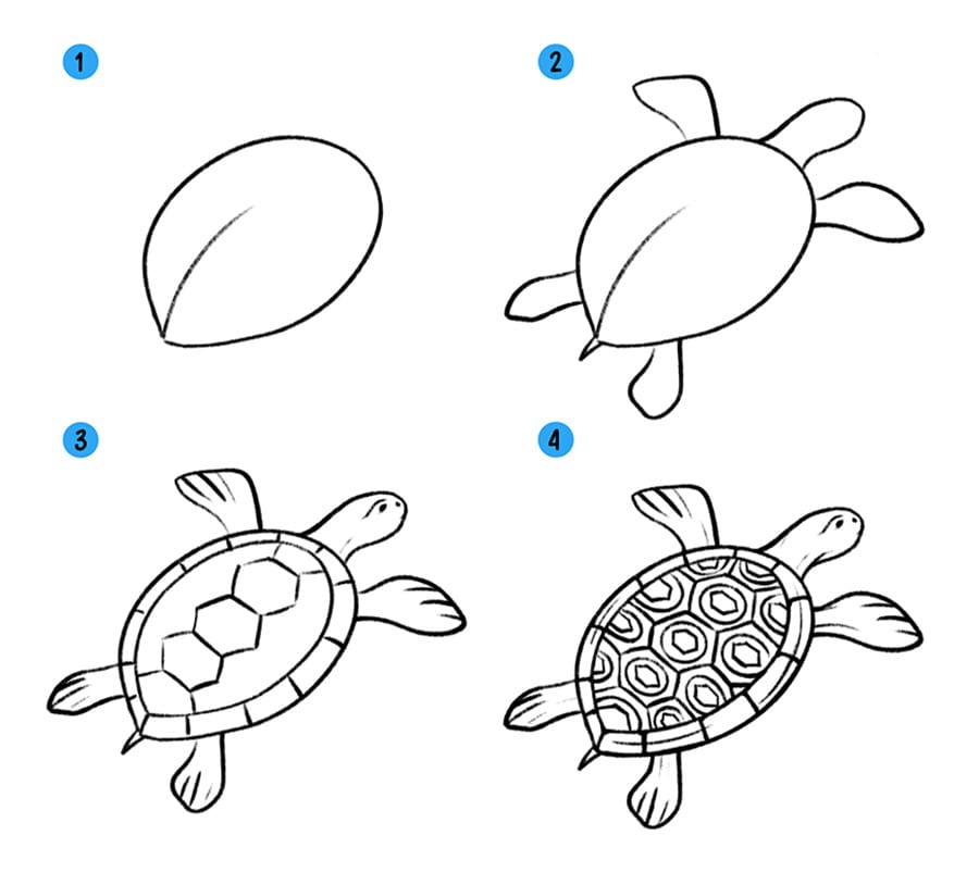 Морская черепаха поэтапный рисунок