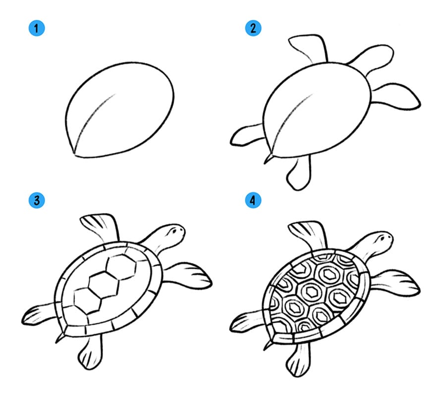 Как нарисовать черепаху — простой рисунок карандашом и ручкой
