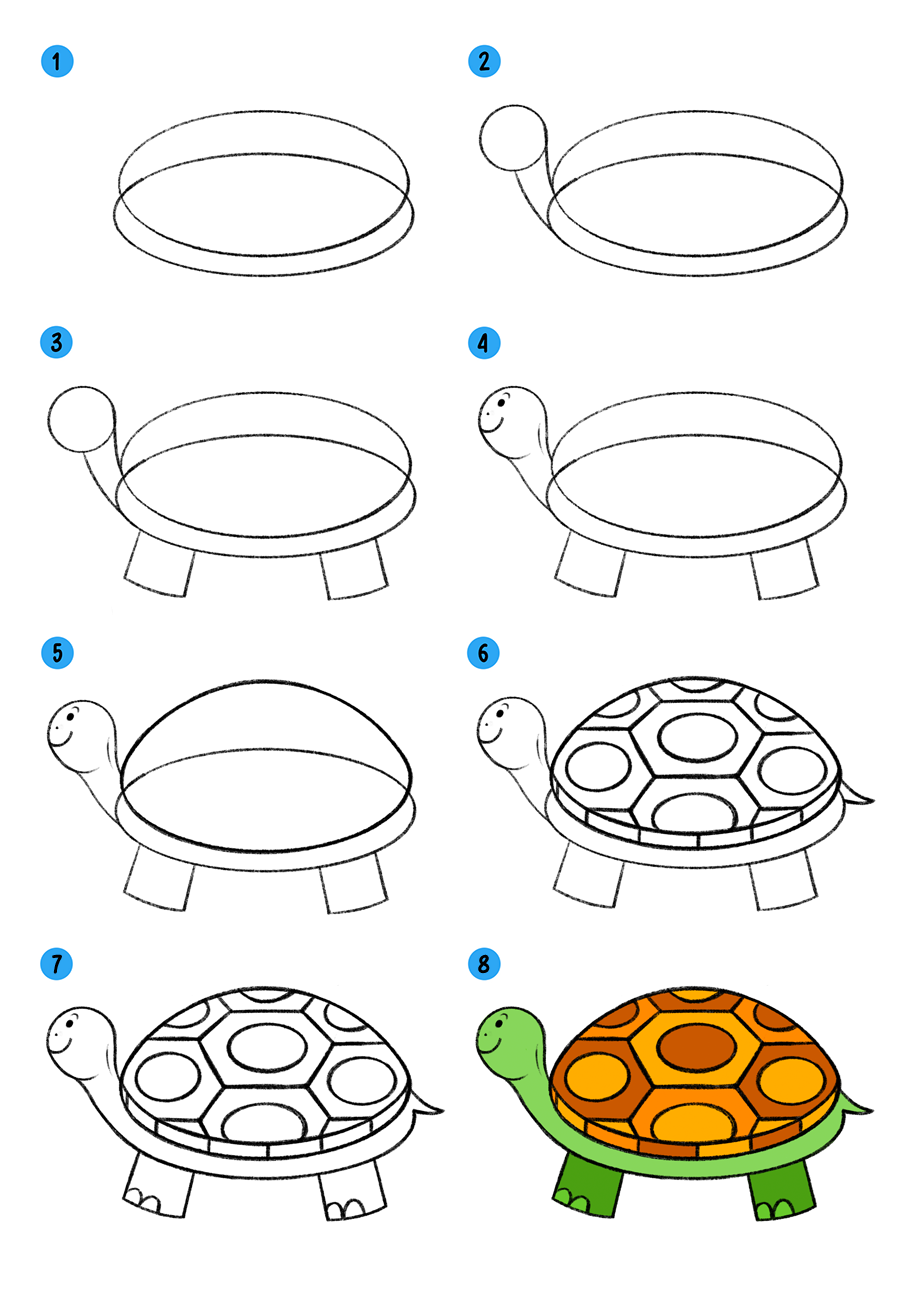 Как нарисовать черепаху 1 класс